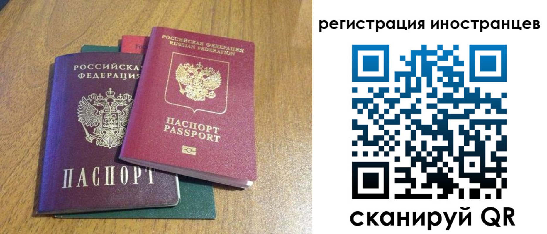 временная регистрация поиск в Калмыкии